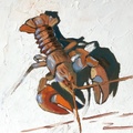 Langosta