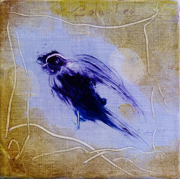 Pajarito