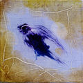Pajarito