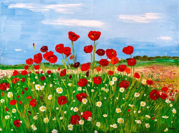 Poppies and Daisies
