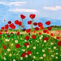 Poppies and Daisies