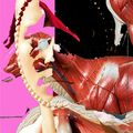 Pf8f2f6g4d / "All That Remains After You" - {$M}