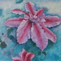 Bee's Jubilee Clematis
