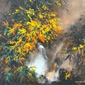 Summer Stream