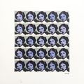 Star Warhol - Blueberry Edition