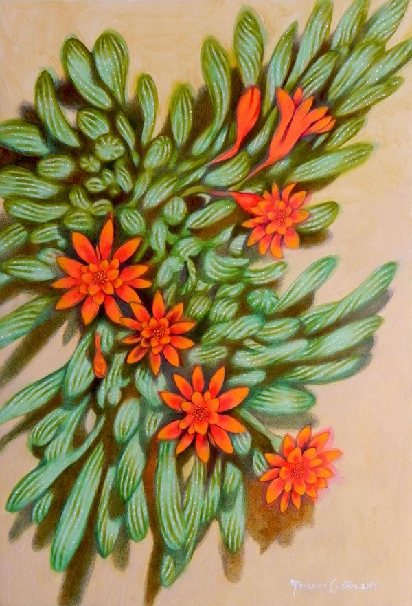 Rote Blumen 2