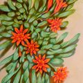 Flores rojas 2