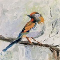 Little Bird