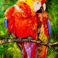 Parrot With Coffee Bean