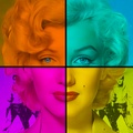 Elvis Shot Marilyn (XL)