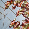Banderines