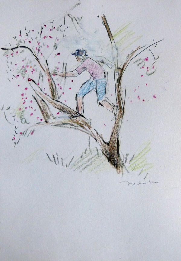 The cherry picker