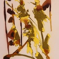 Metadrawing 46