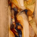 Transfigura 1
