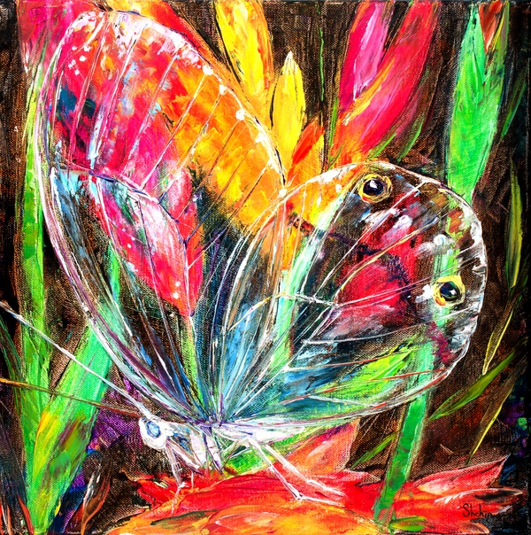 Schmetterling mit transparenten Flügeln