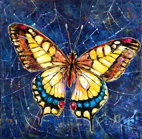 Schmetterling auf einem Spinnennetz