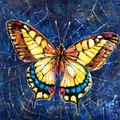 Mariposa sobre una telaraña