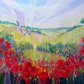 Summer on the Downs