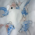C28 Acrylic on paper