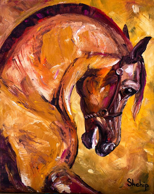 The Stallion