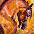 The Stallion