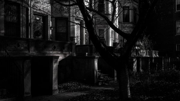 New York City (2019-12-GNY-33)