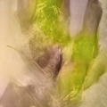 Oil on Canvas 1