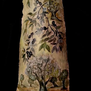 Olive Trees