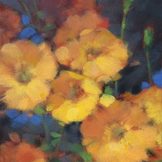 Flaring Welsh Poppies