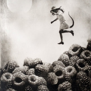 The Girl and The Berries