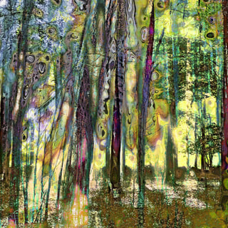 Mystifying Forest VI