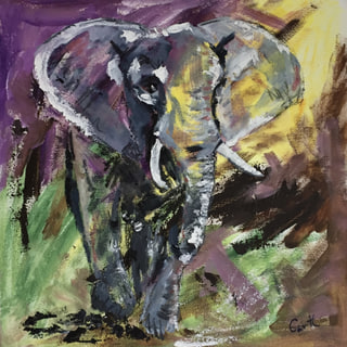 African Grey Elephant