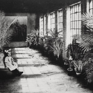Interior No.5