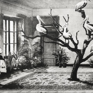 Interior No.47