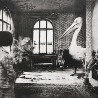 Interior No.39