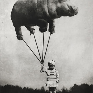 The Girl and The Balloon