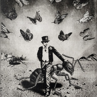 The Boy and The Ants