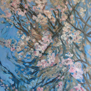 Spring #1