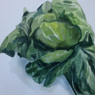 Cabbage #1