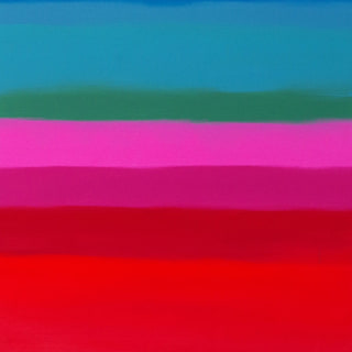 Did You See My Rainbow?